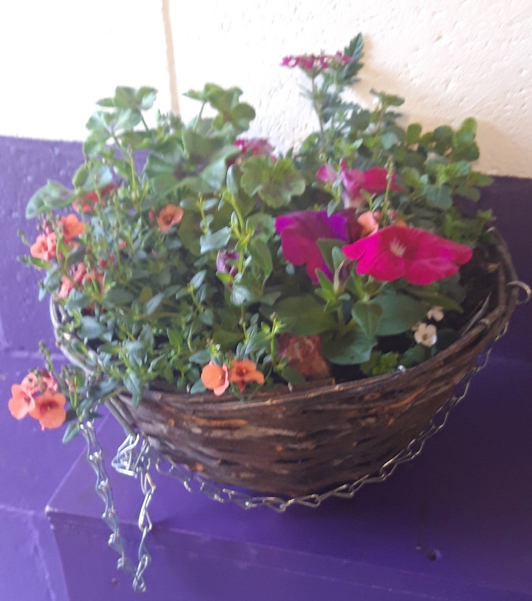 Rattan Planted Hanging Baskets12inch, mixed (each) Woolston Scout Group